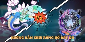 Hướng Dẫn Chơi Rồng Hổ Chi Tiết, Dành Riêng Cho Tân Binh 